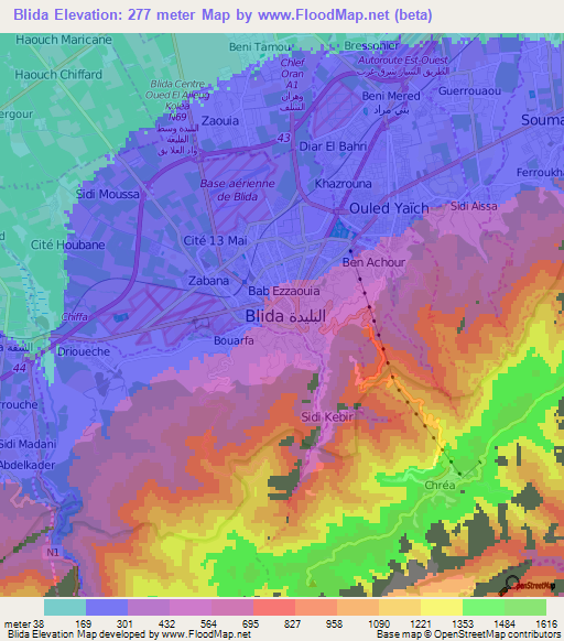 Blida,Algeria Elevation Map