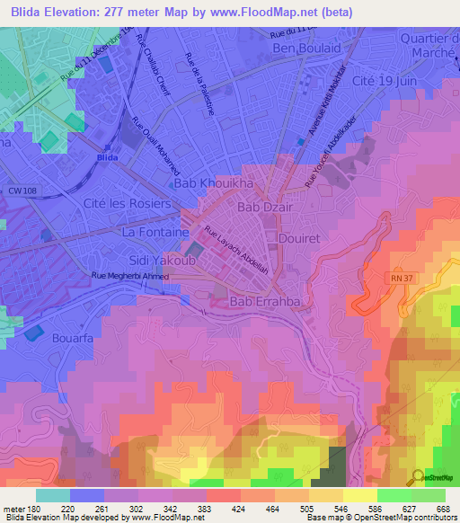 Blida,Algeria Elevation Map