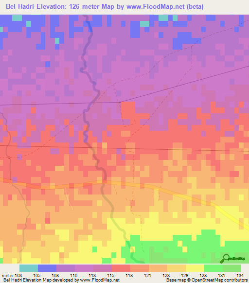 Bel Hadri,Algeria Elevation Map