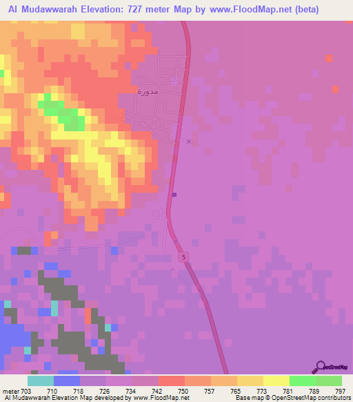 Al Mudawwarah,Jordan Elevation Map
