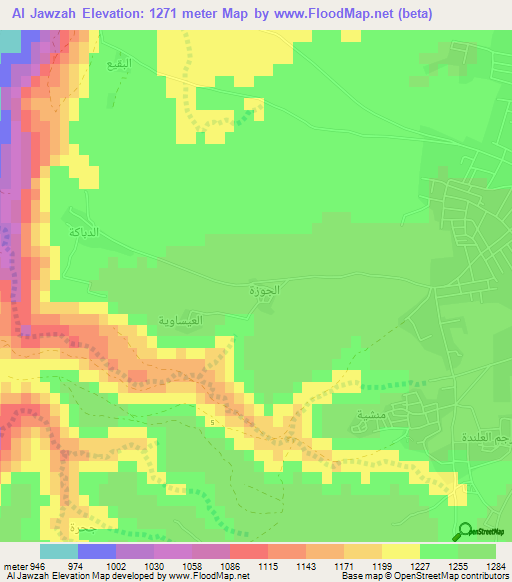 Al Jawzah,Jordan Elevation Map