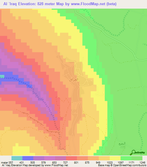 Al `Iraq,Jordan Elevation Map