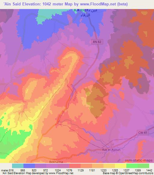 'Ain Said,Algeria Elevation Map