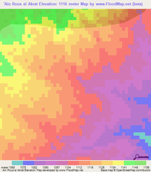 'Ain Rous el Akrat,Algeria Elevation Map