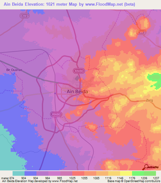 Ain Beida,Algeria Elevation Map