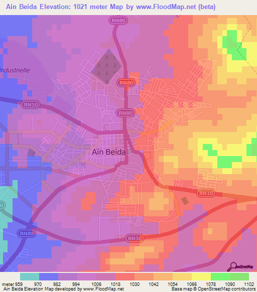 Ain Beida,Algeria Elevation Map