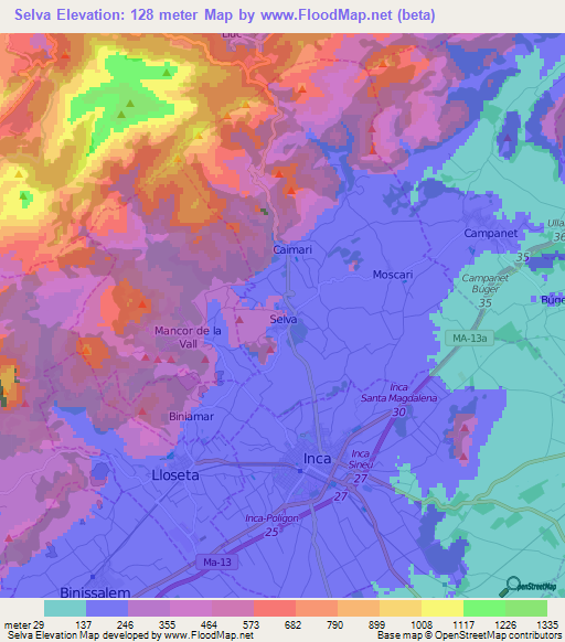 Selva,Spain Elevation Map