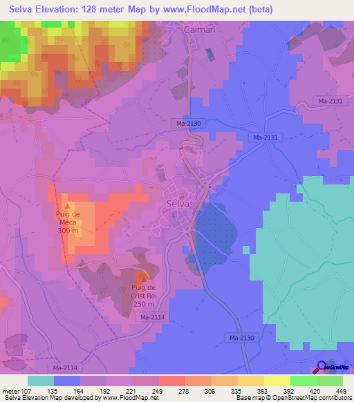 Selva,Spain Elevation Map