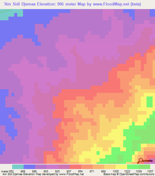 'Ain Sidi Djemaa,Algeria Elevation Map