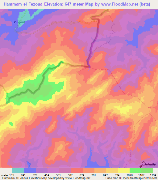 Hammam el Fezoua,Tunisia Elevation Map