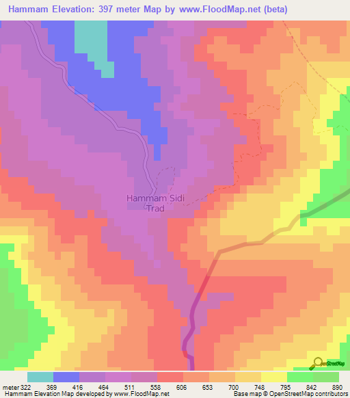 Hammam,Algeria Elevation Map