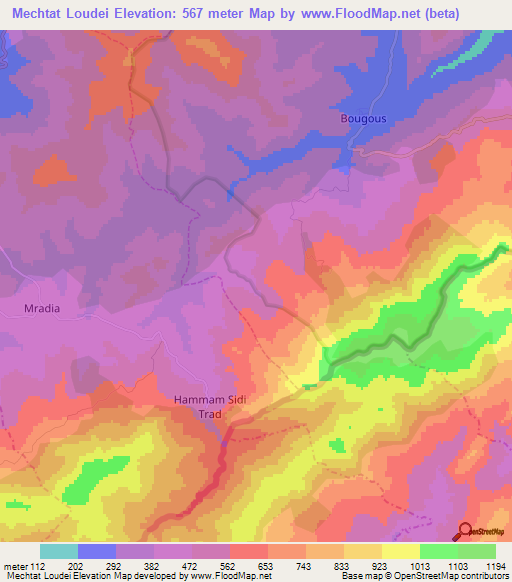 Mechtat Loudei,Algeria Elevation Map