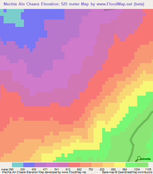 Mechta Ain Chaara,Algeria Elevation Map