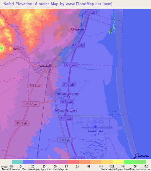 Nafed,Tunisia Elevation Map