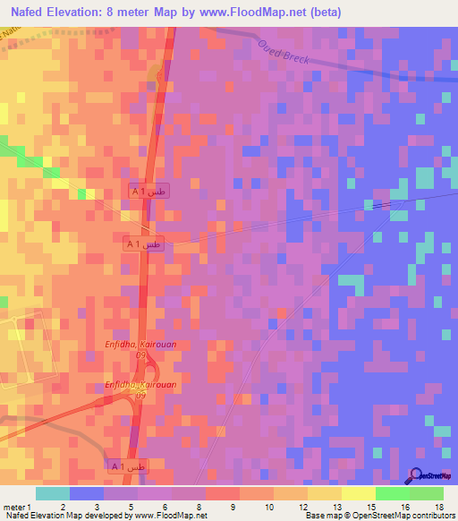 Nafed,Tunisia Elevation Map