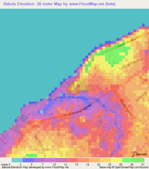 Bakote,Gambia Elevation Map