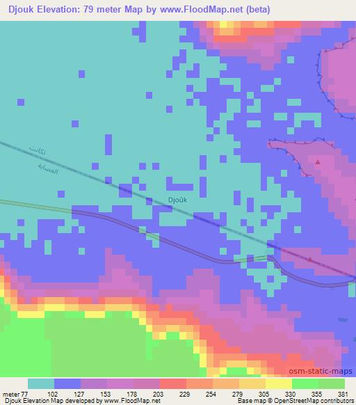 Djouk,Mauritania Elevation Map