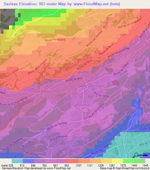 Saviese,Switzerland Elevation Map