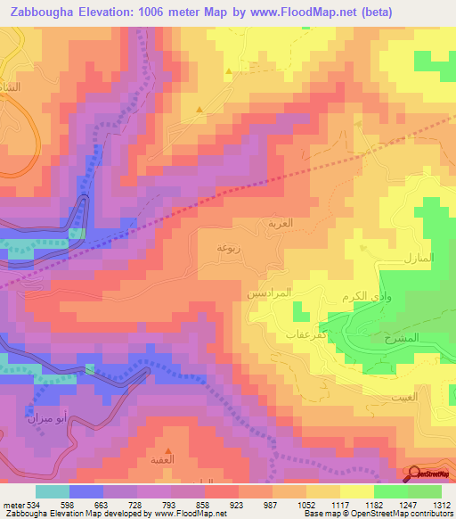 Zabbougha,Lebanon Elevation Map