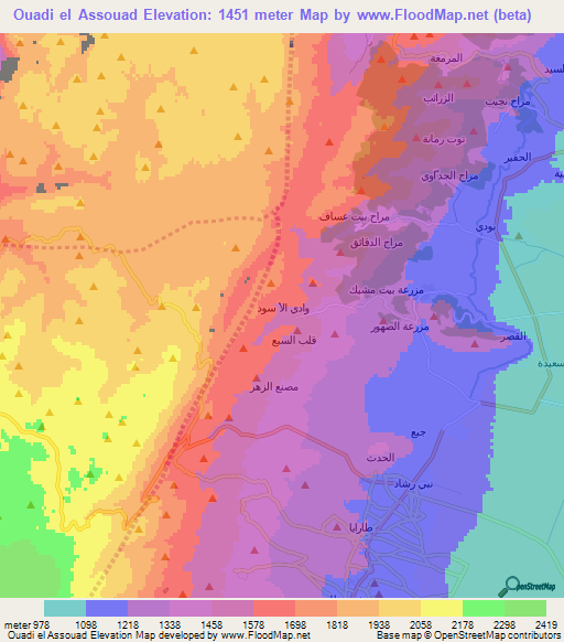 Ouadi el Assouad,Lebanon Elevation Map
