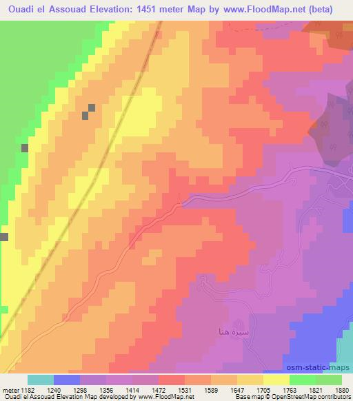 Ouadi el Assouad,Lebanon Elevation Map