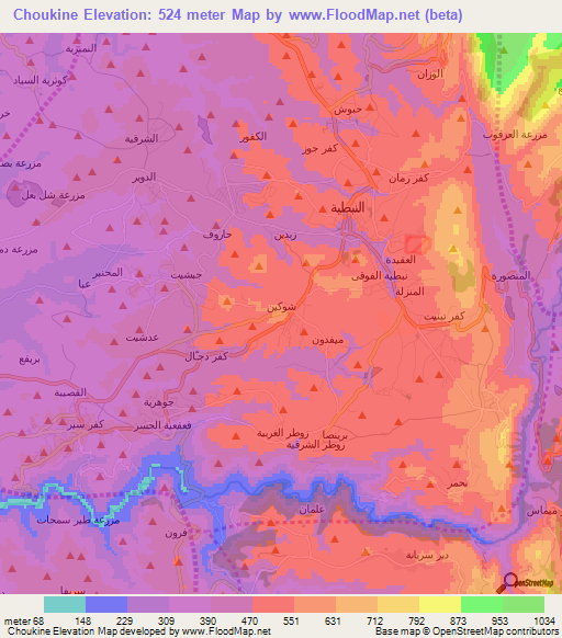 Choukine,Lebanon Elevation Map