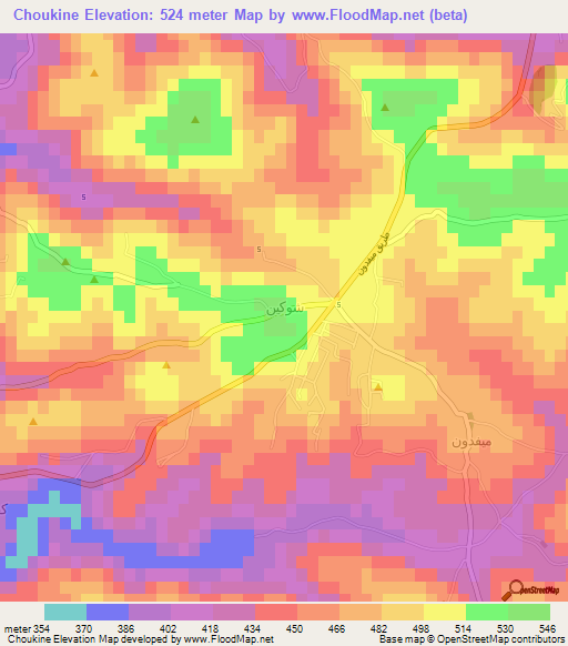 Choukine,Lebanon Elevation Map