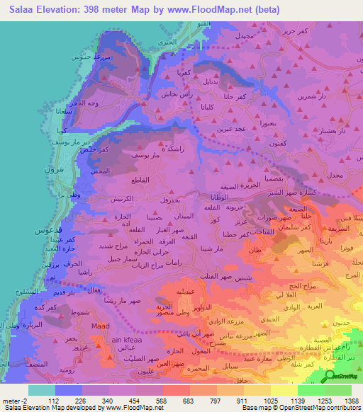 Salaa,Lebanon Elevation Map