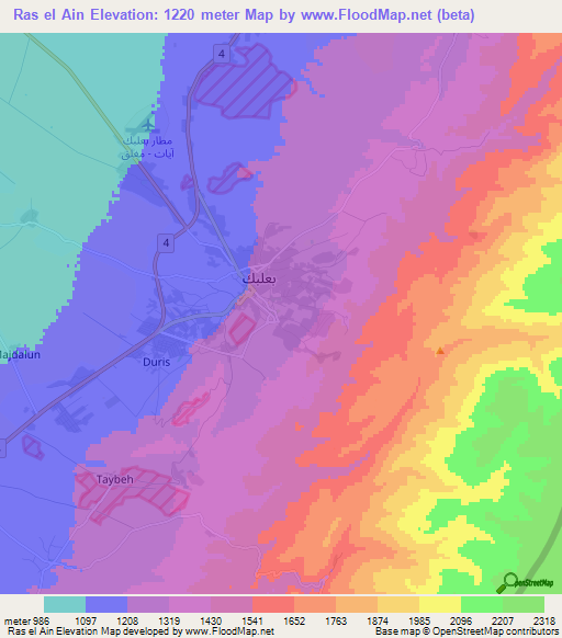 Ras el Ain,Lebanon Elevation Map