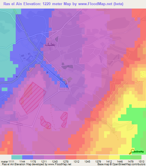 Ras el Ain,Lebanon Elevation Map