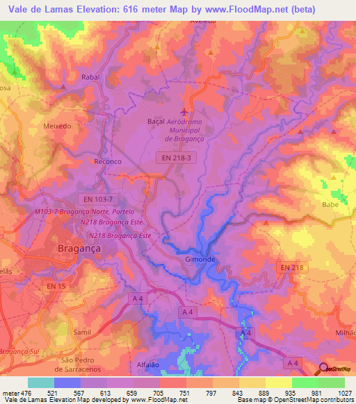 Vale de Lamas,Portugal Elevation Map