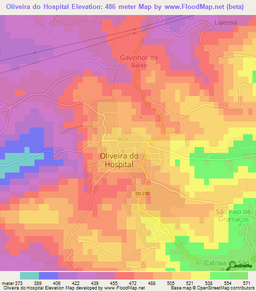 Oliveira do Hospital,Portugal Elevation Map