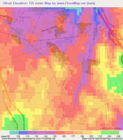 Olival,Portugal Elevation Map