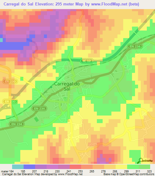 Carregal do Sal,Portugal Elevation Map