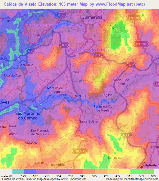 Caldas de Vizela,Portugal Elevation Map