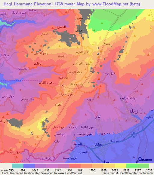 Haql Hammana,Lebanon Elevation Map