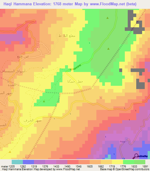 Haql Hammana,Lebanon Elevation Map