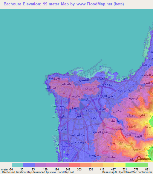 Bachoura,Lebanon Elevation Map