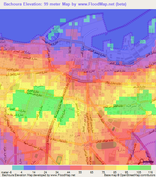 Bachoura,Lebanon Elevation Map