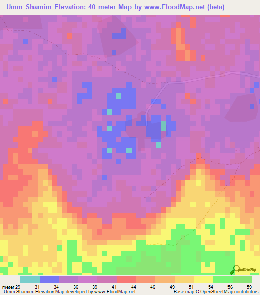 Umm Shamim,Qatar Elevation Map