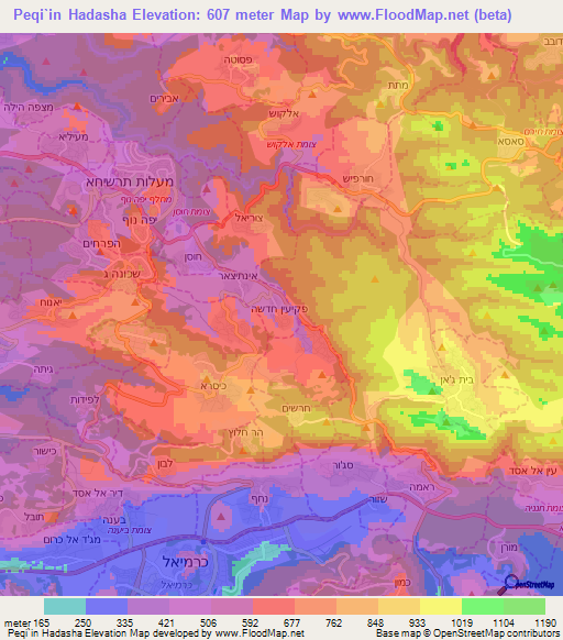 Peqi`in Hadasha,Israel Elevation Map