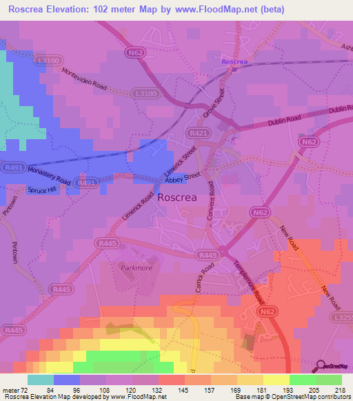 Roscrea,Ireland Elevation Map