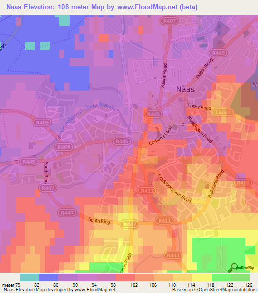 Naas,Ireland Elevation Map