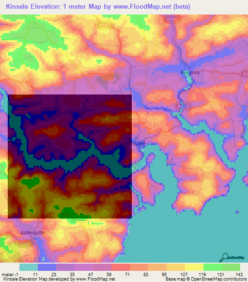 Kinsale,Ireland Elevation Map