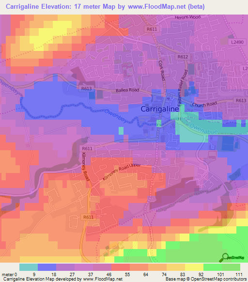 Carrigaline,Ireland Elevation Map
