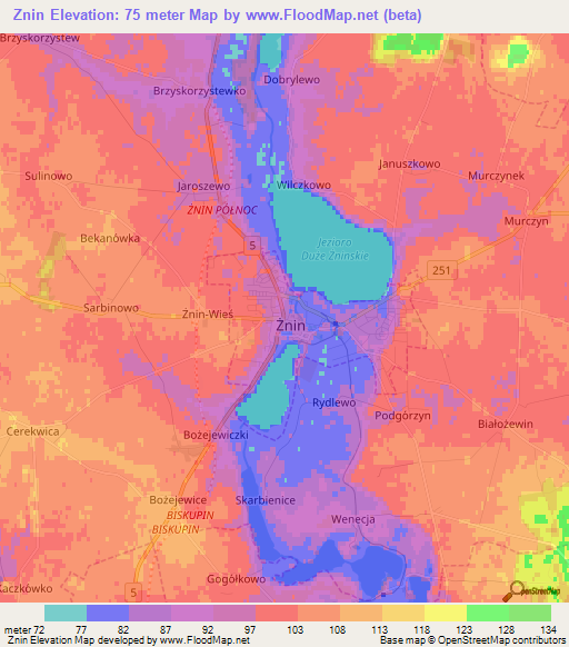 Znin,Poland Elevation Map