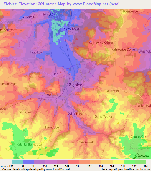 Ziebice,Poland Elevation Map