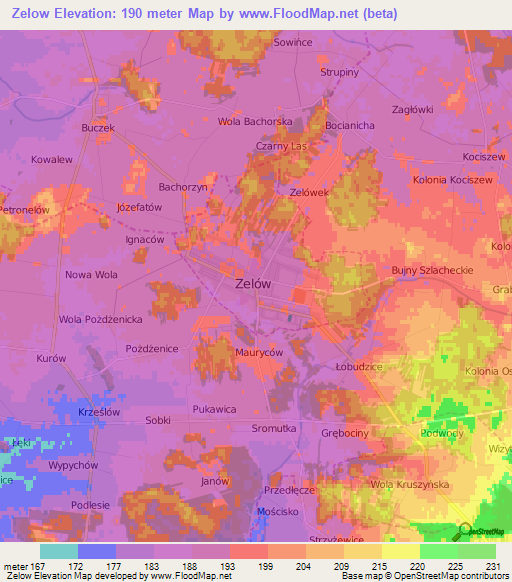 Zelow,Poland Elevation Map