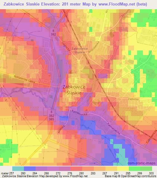 Zabkowice Slaskie,Poland Elevation Map