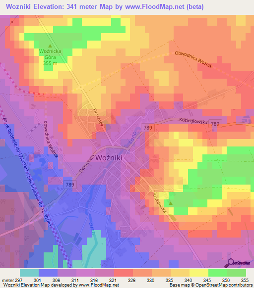 Wozniki,Poland Elevation Map